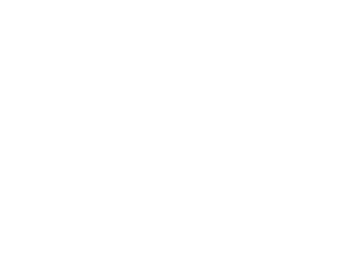 Ynov